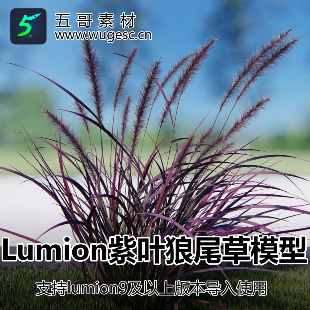 lumion紫叶狼尾草模型3棵造型杜鹃树草本园林景观用植物模型库