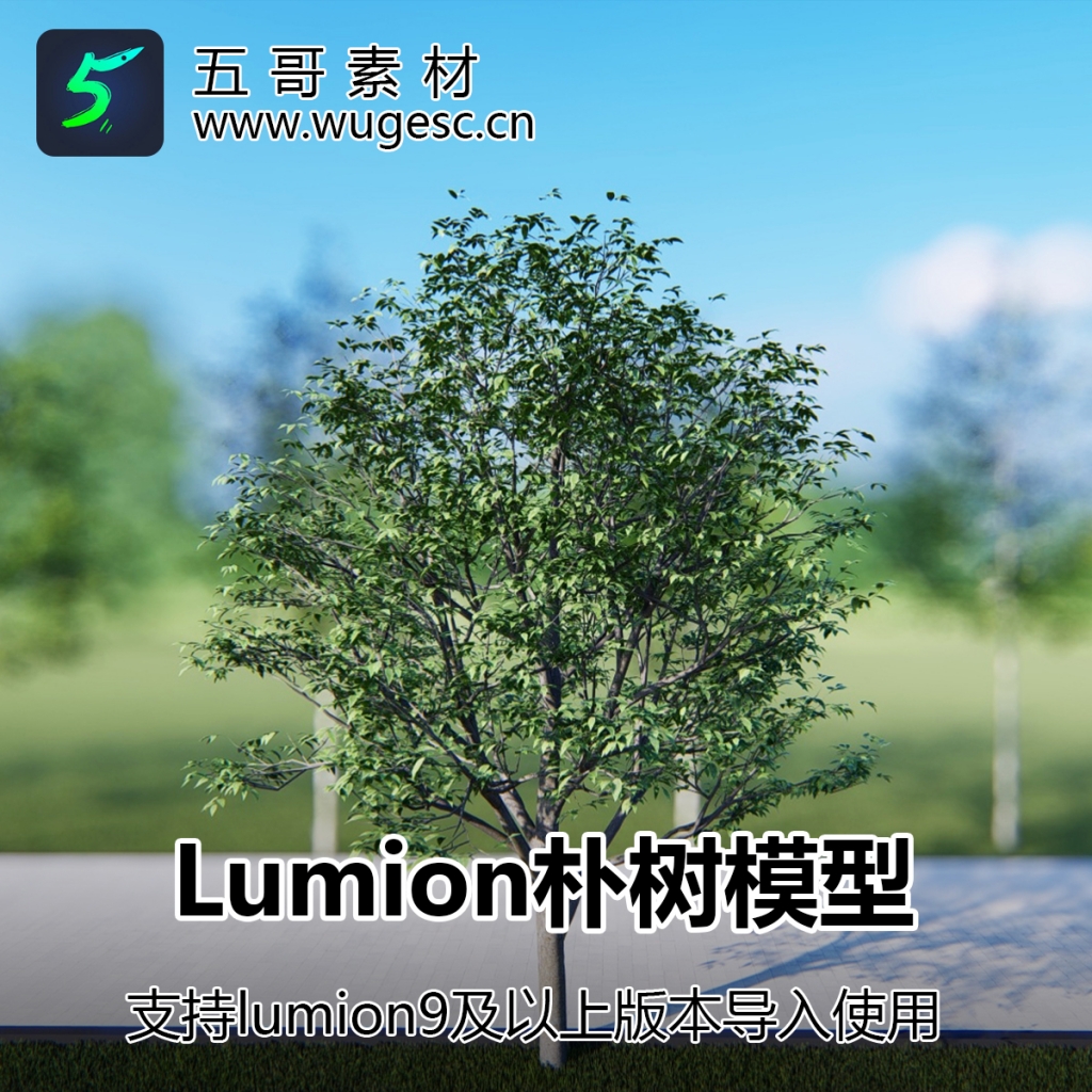 lumion朴树模型3棵