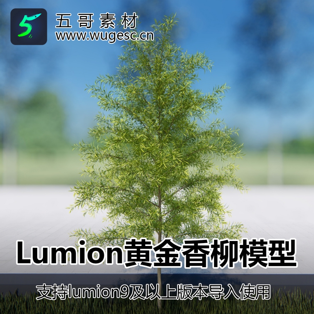 lumion黄金香柳树模型3棵造型香柳乔木园林景观用植物模型库