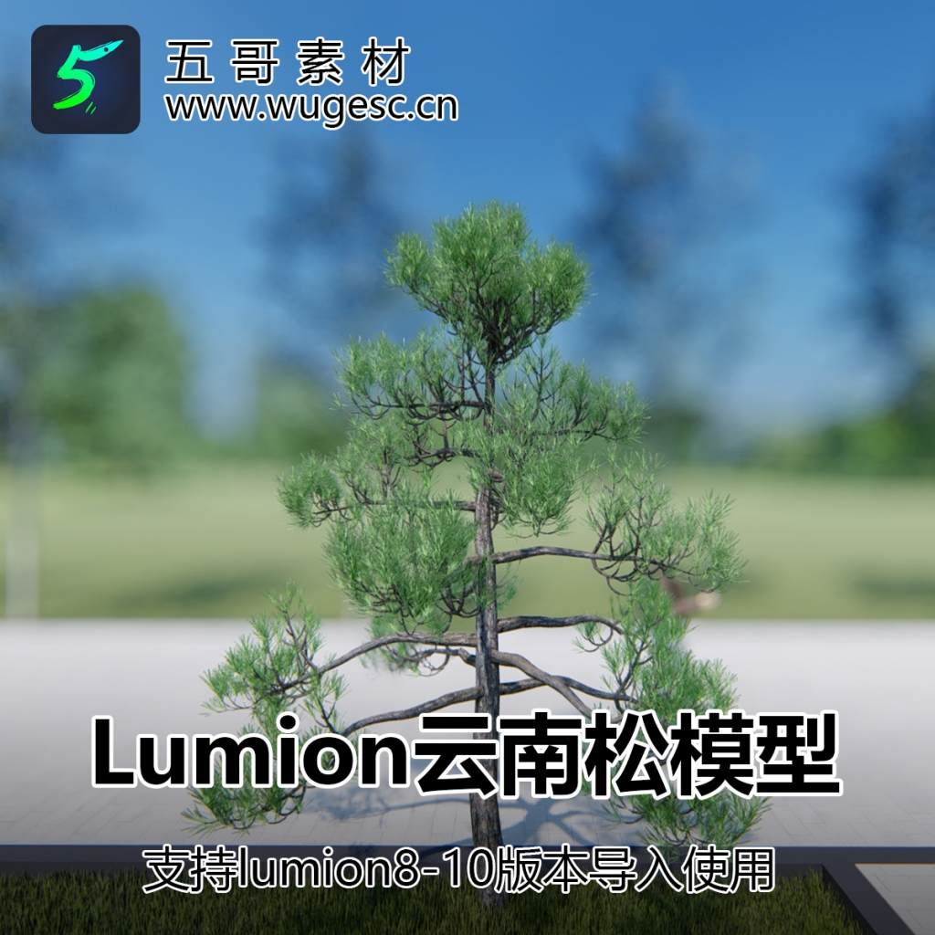 lumion8-10.3云南松内置模型