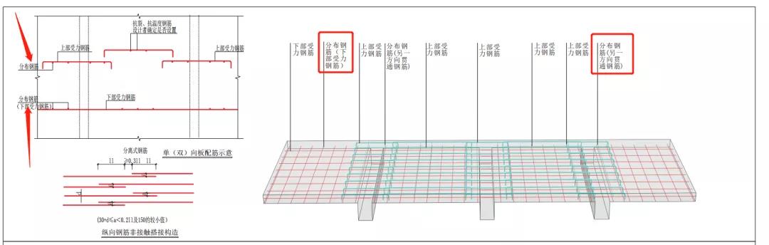 板的分布筋