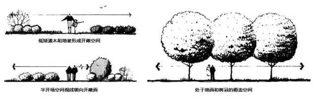 “植物造景”，可不是种树种花这么简单！插图7