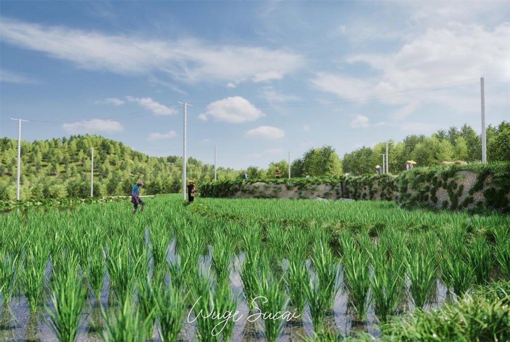 D5渲染器农田水稻写实场景
